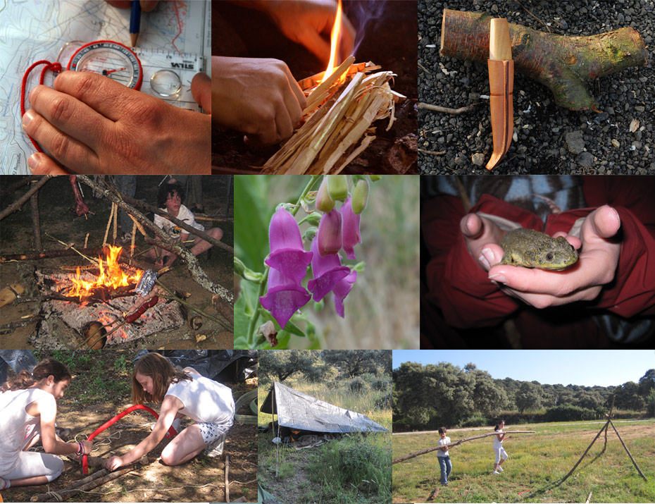 Diversas actividades de Pioneros Terranatur. 