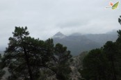 Cazorla Invernal 2016