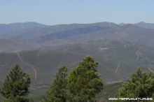 Ruta de la Berrea - Las Hurdes- 2012