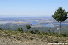 Ruta de la Berrea - Las Hurdes- 2012