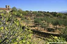 Ruta de la Berrea - Las Hurdes- 2012