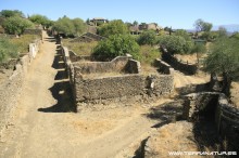 Ruta de la Berrea - Las Hurdes- 2012