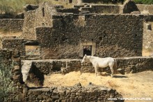 Ruta de la Berrea - Las Hurdes- 2012