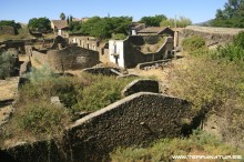 Ruta de la Berrea - Las Hurdes- 2012