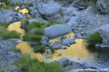 Ruta de la Berrea - Las Hurdes- 2012