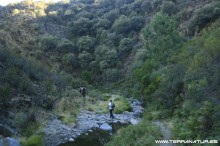 Ruta de la Berrea - Las Hurdes- 2012