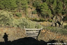 Ruta de la Berrea - Las Hurdes- 2012