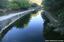 Ruta de la Berrea - Las Hurdes- 2012