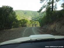 Ruta de la Berrea - Las Hurdes- 2012