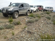 Ruta de la Berrea - Las Hurdes- 2012