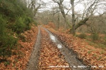 Ruta de las Pallozas y las Médulas - 2012