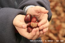 Ruta de las Pallozas y las Médulas - 2012