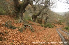 Ruta de las Pallozas y las Médulas - 2012