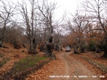 Ruta de las Pallozas y las Médulas - 2012