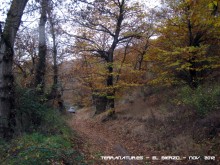 Ruta de las Pallozas y las Médulas - 2012