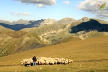 Pirineos al Natural III- 2013