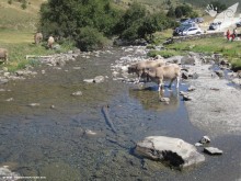 Vacaciones 4x4 - Pirineos - 2012