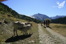 Vacaciones 4x4 - Pirineos - 2012