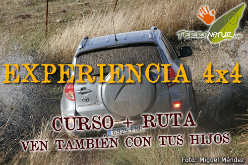 Experiencia 4x4. Cursos de conducción todoterreno