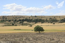 Curso 4x4 + Ruta Junio 2012