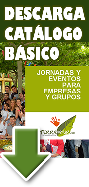 Descarga actividades de Teambuilding originales