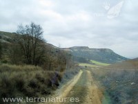 Enoturismo Terranatur, invierno 2011