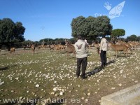 Enoturismo Terranatur, invierno 2011