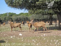 Enoturismo Terranatur, invierno 2011