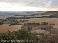 Enoturismo Terranatur, invierno 2011