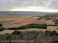 Enoturismo Terranatur, invierno 2011