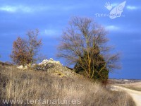 Enoturismo Terranatur, invierno 2011