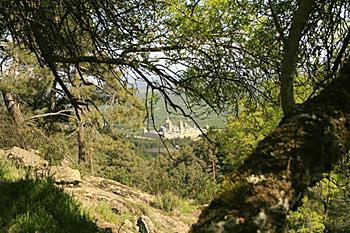 Exploración, senderismo y talleres en el Guadarrama.