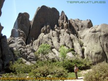 Senderismo de exploración por la Pedriza