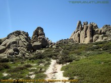 Senderismo de exploración por la Pedriza