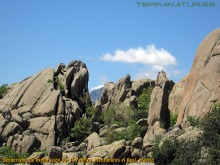 Senderismo de exploración por la Pedriza