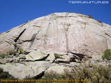 Senderismo de exploración por la Pedriza