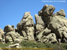 Senderismo de exploración por la Pedriza