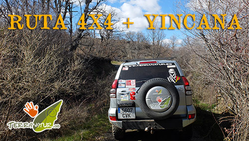 Ruta 4x4 todoterreno con yincana para toda la familia