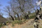 Ruta de las Pallozas y las Médulas