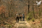 Ruta de las Pallozas y las Médulas