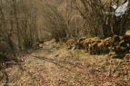 Ruta de las Pallozas y las Médulas