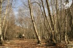 Ruta de las Pallozas y las Médulas