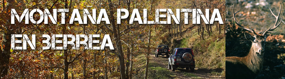 Montaña palentina en Berrea 4x4