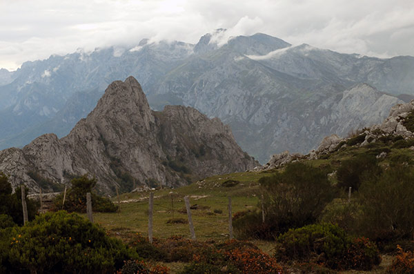 Paisaje de Picos de Europa. Terranatur