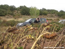 Palencia Norte octubre- 2012