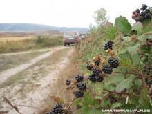 Palencia Norte octubre- 2012