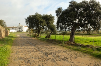 Encianes y conventos en Portugal. Terranatur.es