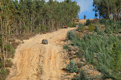 Ruta por Monchique