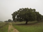 Ruta por la Sierra de San Vicente