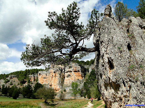 Cañón del Río Lobos